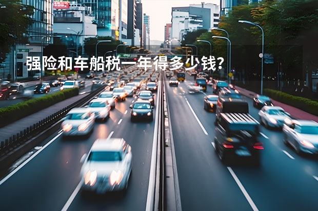 强险和车船税一年得多少钱？