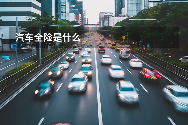 汽车全险是什么
