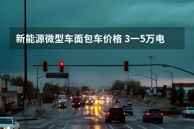 新能源微型车面包车价格 3一5万电动汽车
