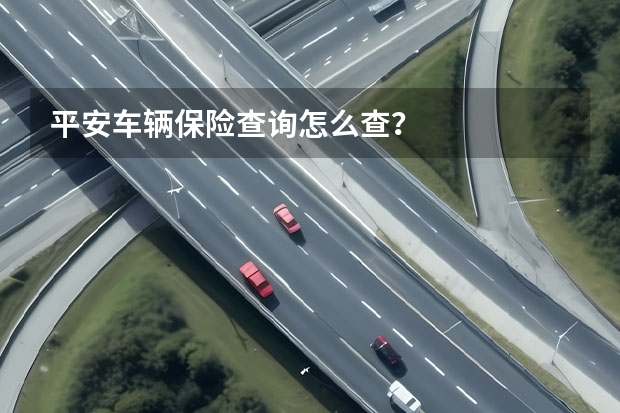 平安车辆保险查询怎么查？