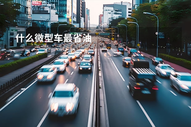 什么微型车最省油