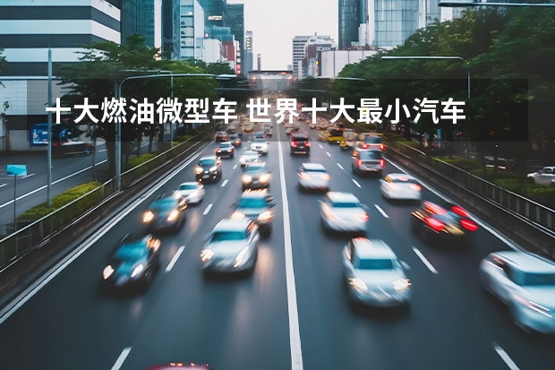 十大燃油微型车 世界十大最小汽车
