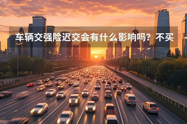 车辆交强险迟交会有什么影响吗？不买也不上路行吗？以后再买会有什么影响吗