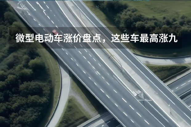 微型电动车涨价盘点，这些车最高涨九千，国补没了消费者补？（女士新能源小型车）