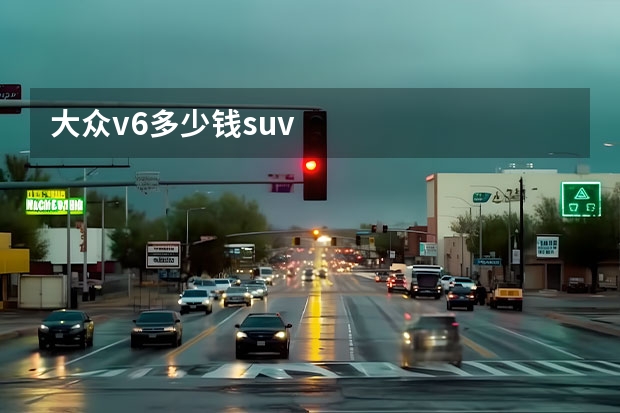 大众v6多少钱suv