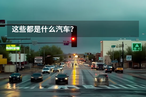 这些都是什么汽车?