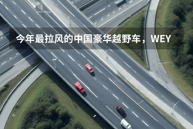 今年最拉风的中国豪华越野车,WEY坦克300上市售价17.58万起 关于对越野车的购买信息