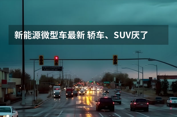新能源微型车最新 轿车、SUV厌了看这三款纯电动微型车