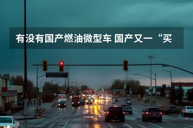 有没有国产燃油微型车 国产又一“买菜代步神车”，凌宝BOX上市，最低配才3万出头