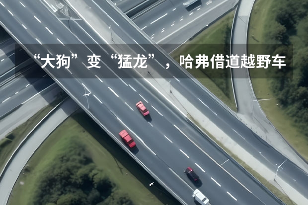 “大狗”变“猛龙”，哈弗借道越野车转型，胜率几成？ 宝骏悦也、哈弗大狗，这些越野车有几款是硬货？