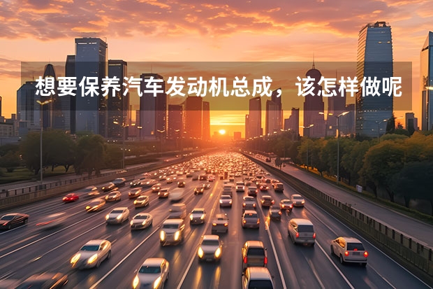 想要保养汽车发动机总成，该怎样做呢？