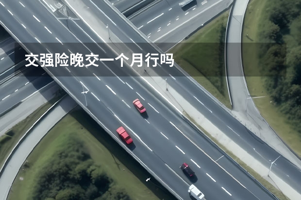 交强险晚交一个月行吗