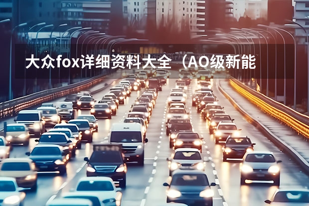 大众fox详细资料大全（AO级新能源车归于平淡 微型车市场即将迎来洗牌？）