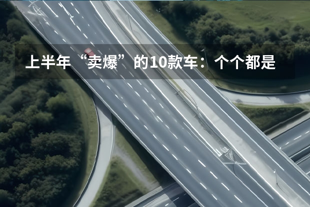 上半年“卖爆”的10款车：个个都是销量王，比亚迪独占5款（AO级新能源车归于平淡 微型车市场即将迎来洗牌？）