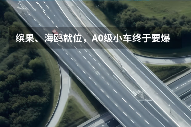 缤果、海鸥就位，A0级小车终于要爆发了 8万预算+一张居住证 即刻入手这些刚需代步神器