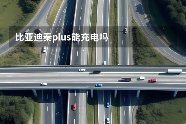 比亚迪秦plus能充电吗