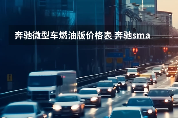 奔驰微型车燃油版价格表 奔驰smart燃油版价格 奔驰smart燃油版价格
