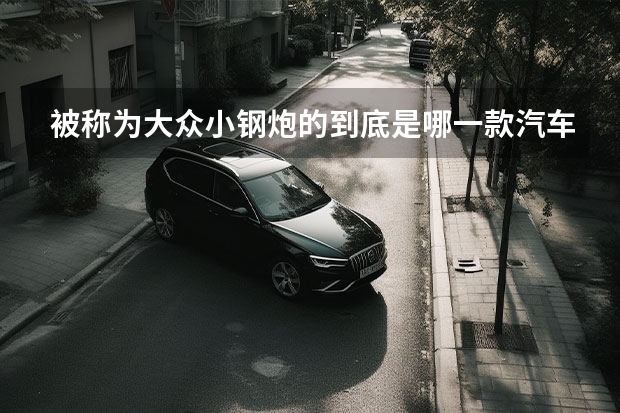 被称为大众小钢炮的到底是哪一款汽车？ 微型车排行榜前十名？