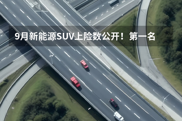 9月新能源SUV上险数公开！第一名的表现令人意外 车险五大保险公司排名榜