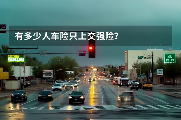 有多少人车险只上交强险？