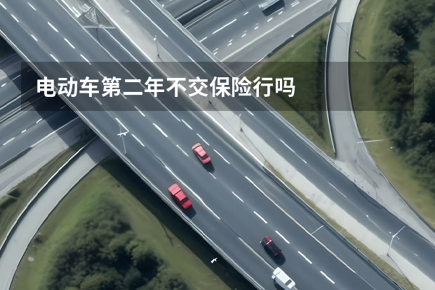 电动车第二年不交保险行吗