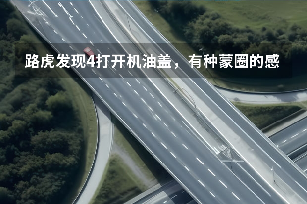 路虎发现4打开机油盖，有种蒙圈的感觉（路虎揽胜正时皮带几万公里换？）