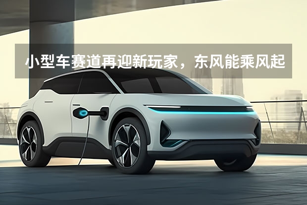小型车赛道再迎新玩家，东风能乘风起？（A00级王者再升级，2025款海鸥上市）