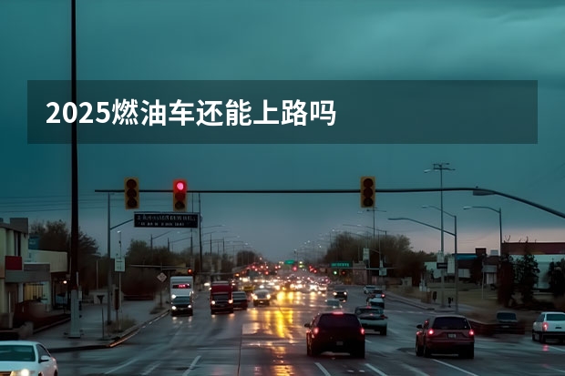 2025燃油车还能上路吗