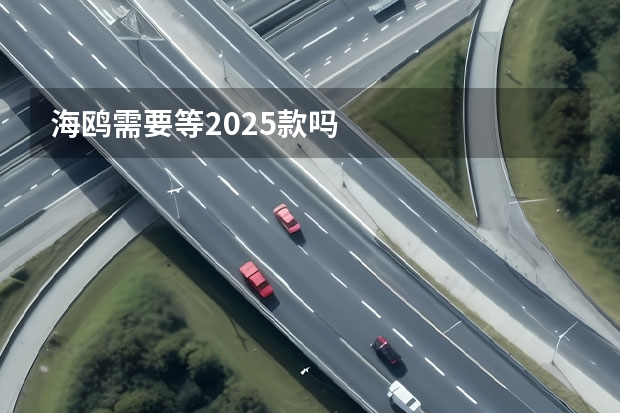 海鸥需要等2025款吗