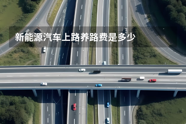 新能源汽车上路养路费是多少