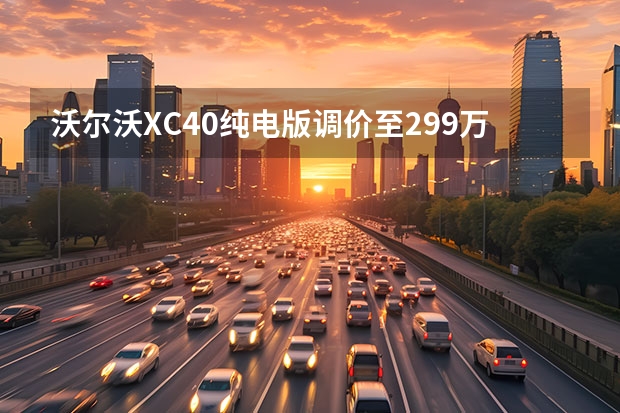 沃尔沃XC40纯电版调价至29.9万起 广州沃尔沃XC40优惠5.7万元