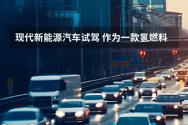 现代新能源汽车试驾 作为一款氢燃料电池SUV，现代Nexo的碰撞安全性到底如何？