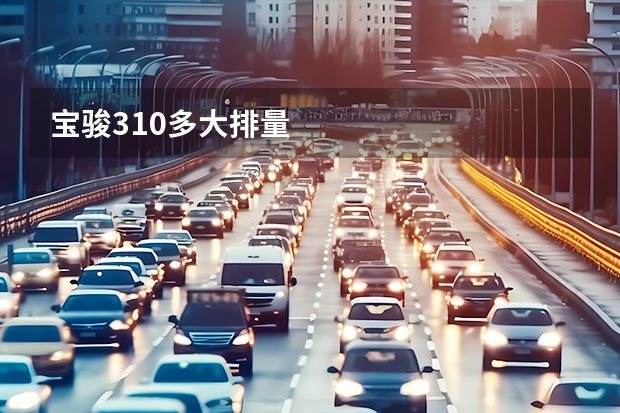 宝骏310多大排量