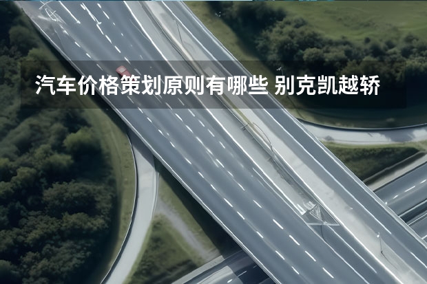 汽车价格策划原则有哪些 别克凯越轿车的价格策略？急急急急急