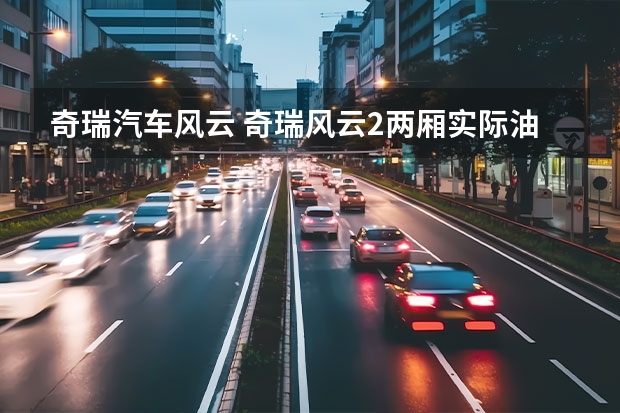 奇瑞汽车风云 奇瑞风云2两厢实际油耗？听说可高 有此车的人说说
