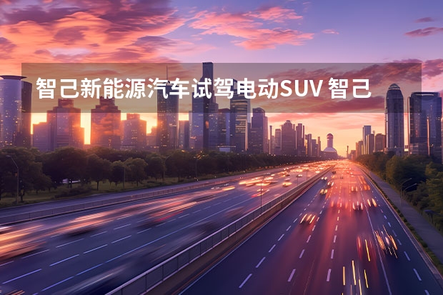 智己新能源汽车试驾电动SUV 智己LS7上市，30万买这款最值！
