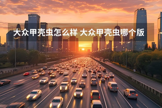 大众甲壳虫怎么样 大众甲壳虫哪个版本好