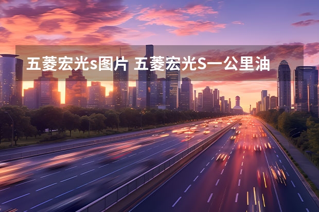 五菱宏光s图片 五菱宏光S一公里油耗几毛钱？