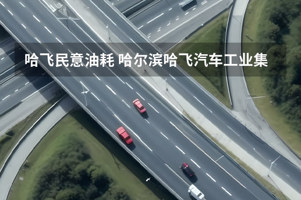 哈飞民意油耗 哈尔滨哈飞汽车工业集团有限公司的主要产品