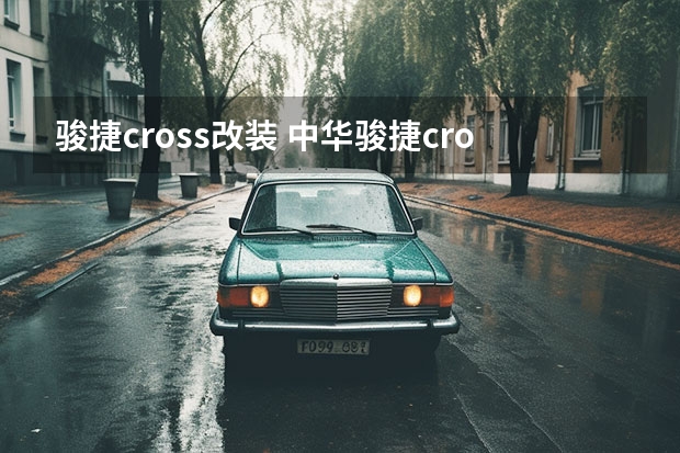 骏捷cross改装 中华骏捷cross燃油过滤器怎么装