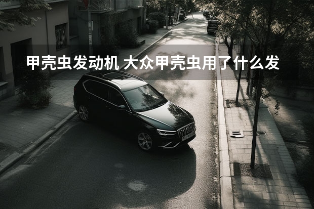 甲壳虫发动机 大众甲壳虫用了什么发动机
