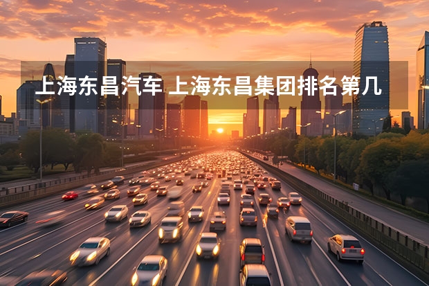上海东昌汽车 上海东昌集团排名第几