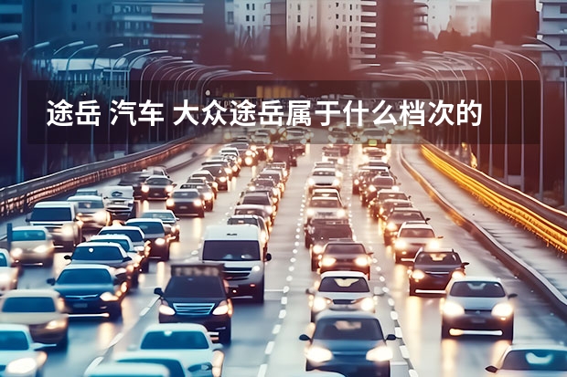 途岳 汽车 大众途岳属于什么档次的车