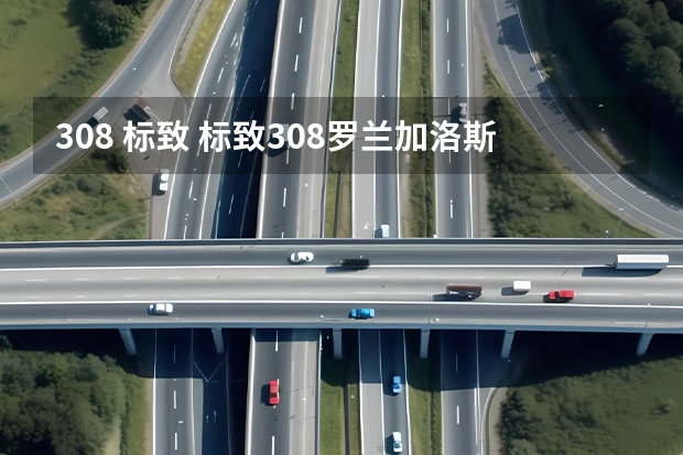 308 标致 标致308罗兰加洛斯版区别