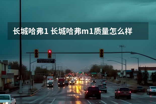长城哈弗1 长城哈弗m1质量怎么样?