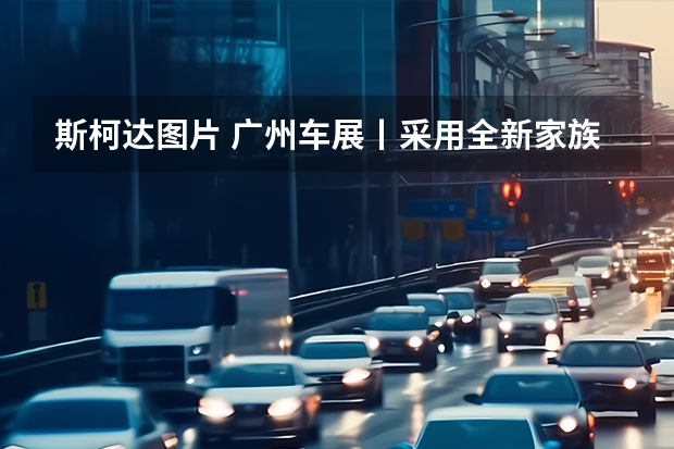 斯柯达图片 广州车展丨采用全新家族式设计 全新斯柯达明锐首发
