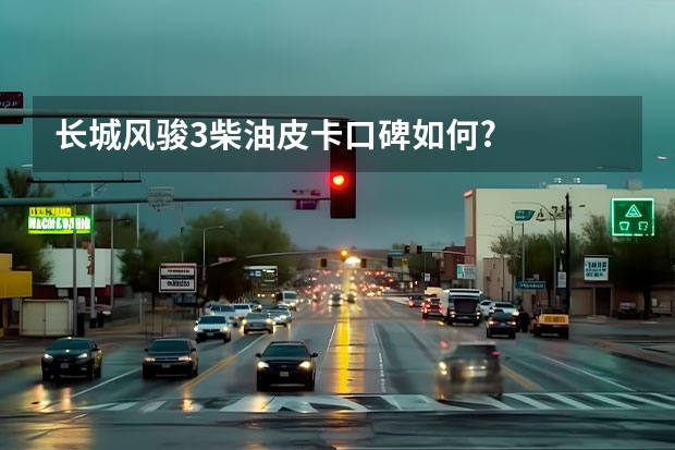 长城风骏3柴油皮卡口碑如何?