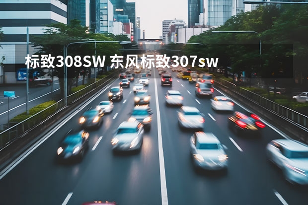 标致308SW 东风标致307sw的标致307SW关键的几厘米 东风标致307sw的车型及性能