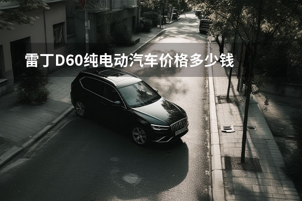 雷丁D60纯电动汽车价格多少钱