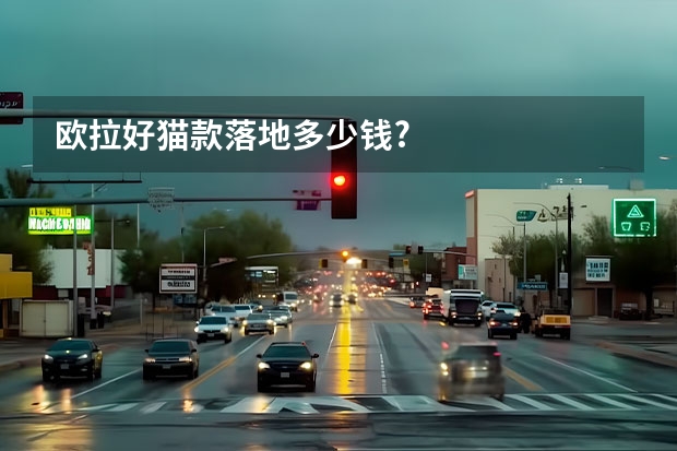 欧拉好猫款落地多少钱?